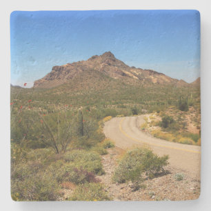 Organ Pipe Park in Arizona, square stone coaster