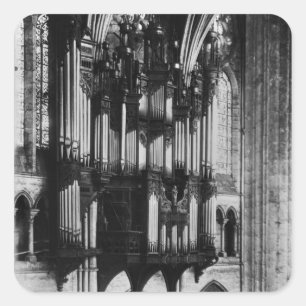 Organ Square Sticker