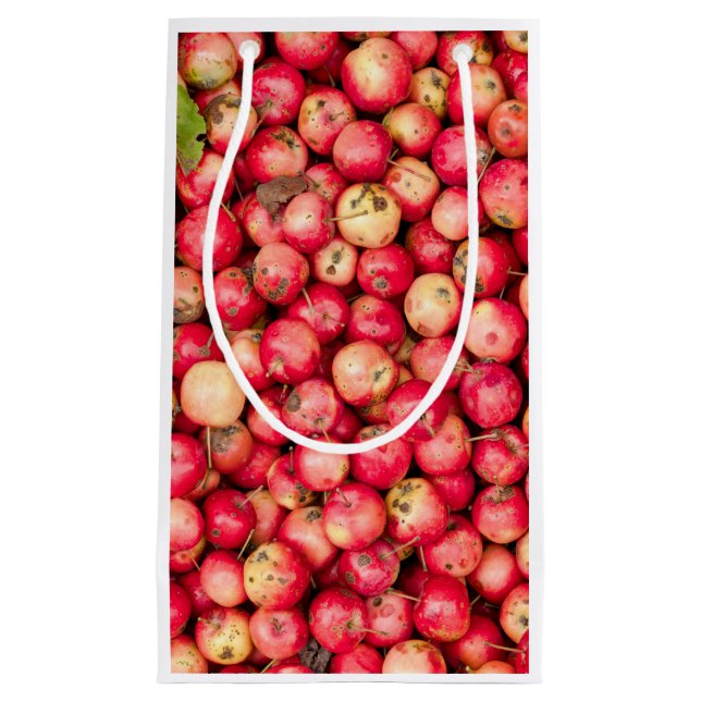 Organic apples small gift bag (Front)