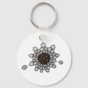 Organic Chemistry Aromatic Structure Space Stars Key Ring