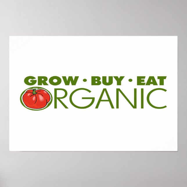 Organic Food Poster (Front)