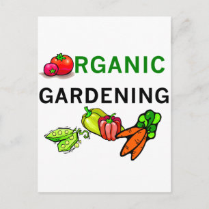 Organic Gardening T-shirts and Gifts Postcard