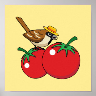 Organic Lover Sparrow Eating Red Tomato Poster