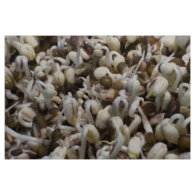 Organic Mung Sprouts – A Nutrient-Packed Superfood Fabric (Yard)