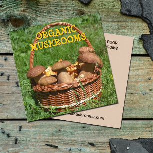 Organic Mushrooms Delivery,  Farm Square  Business Card