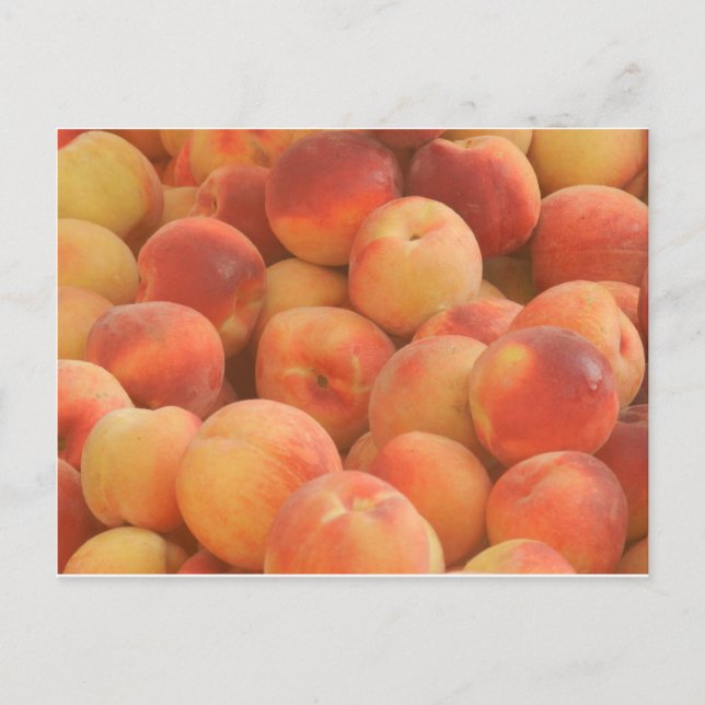 organic peaches postcard (Front)
