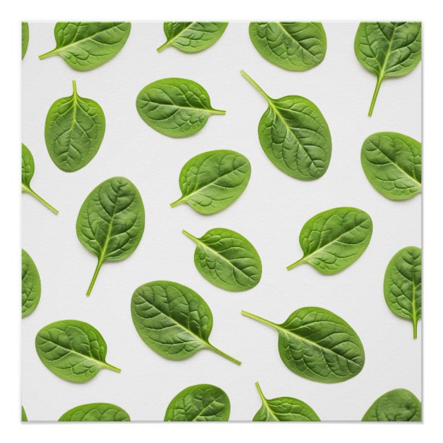 Organic Spinach Leaf Seamless Pattern Poster (Front)