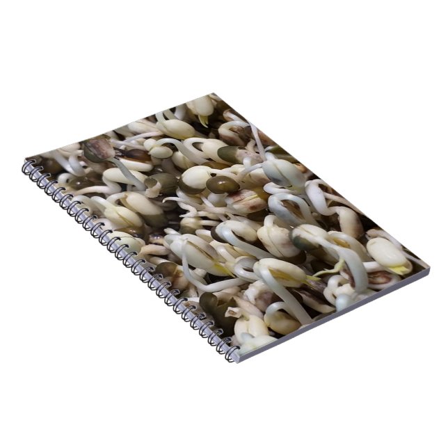 Organic Sprout Life Mung Bean Macro Photography He Notebook (Right Side)