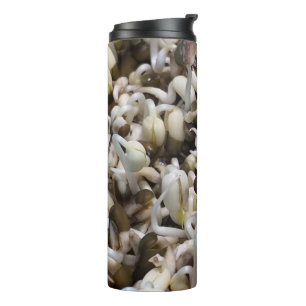 Organic Sprout Life Mung Bean Macro Photography He Thermal Tumbler