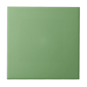 Organically Green Square Kitchen and Bathroom Ceramic Tile