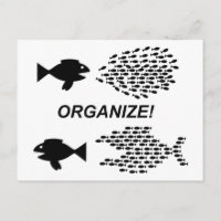 Organise postcard