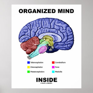 Organised Mind Inside (Anatomical Brain Attitude) Poster