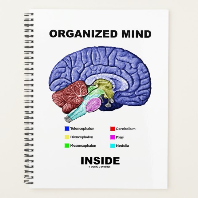 Organised Mind Inside Anatomical Brain Humour Planner (Front)