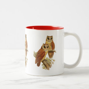 Oriental Bay Owl Two-Tone Coffee Mug