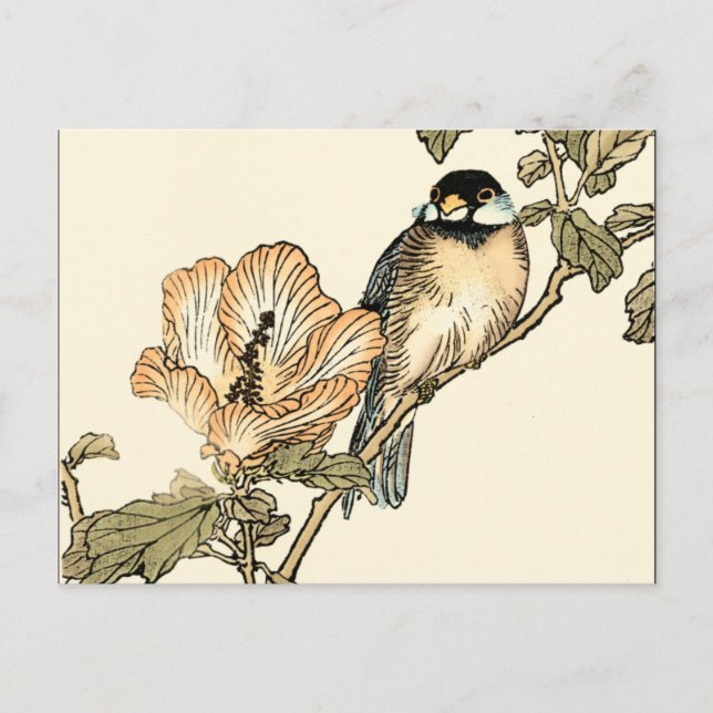 Oriental Bird Perched on Branch Postcard (Front)