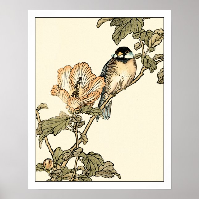 Oriental Bird Perched on Branch Poster (Front)