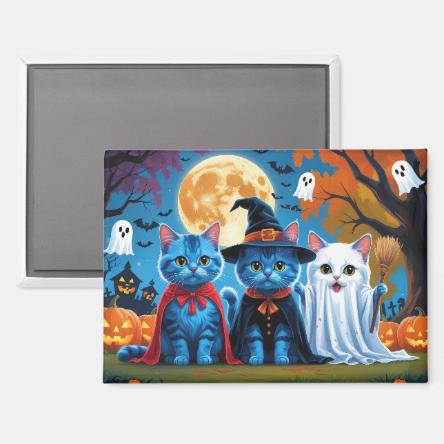 Oriental Blue Cats Pumpkin Halloween Funny Magnet (Front/Back)