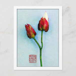 Oriental Buds postcard