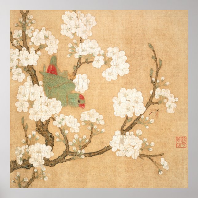 Oriental Chinese Parrot And Pear Blossoms Poster (Front)