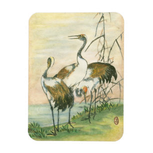 Oriental Cranes by the Water Magnet