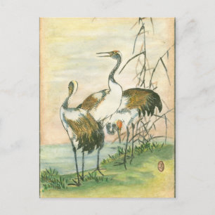Oriental Cranes by the Water Postcard
