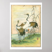 Oriental Cranes by the Water