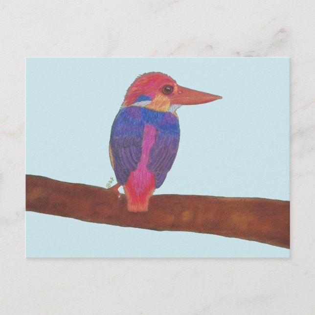 ORIENTAL DWARF KINGFISHER HOLIDAY POSTCARD (Front)
