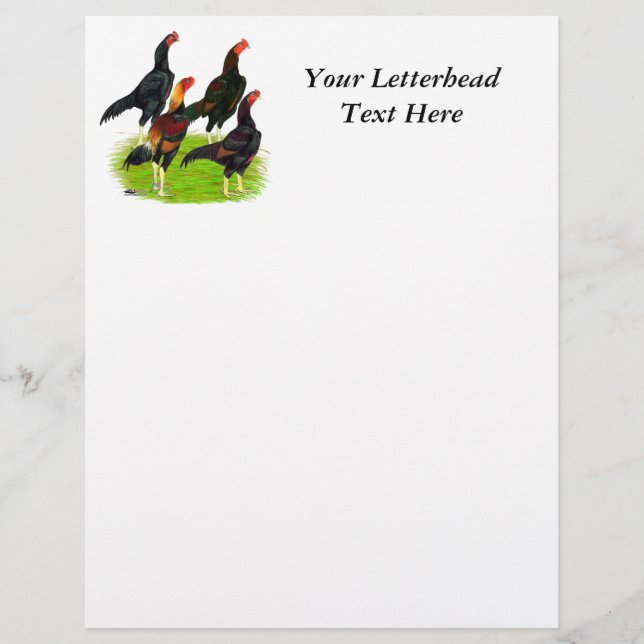 Oriental Game Fowl Quartet (Front)