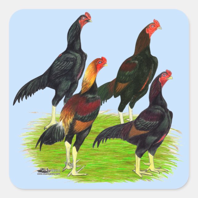 Oriental Game Fowl Quartet Square Sticker (Front)