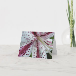 Oriental lily notecard