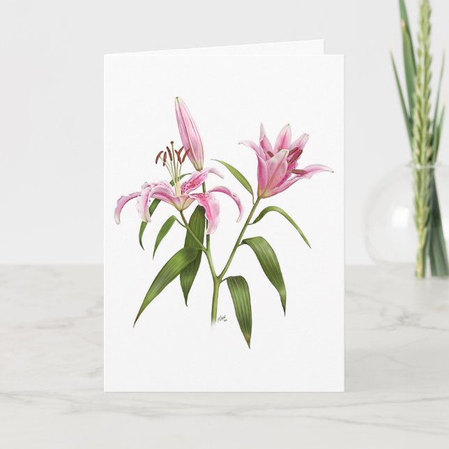 Oriental Lily - Stargazer Card (Front)