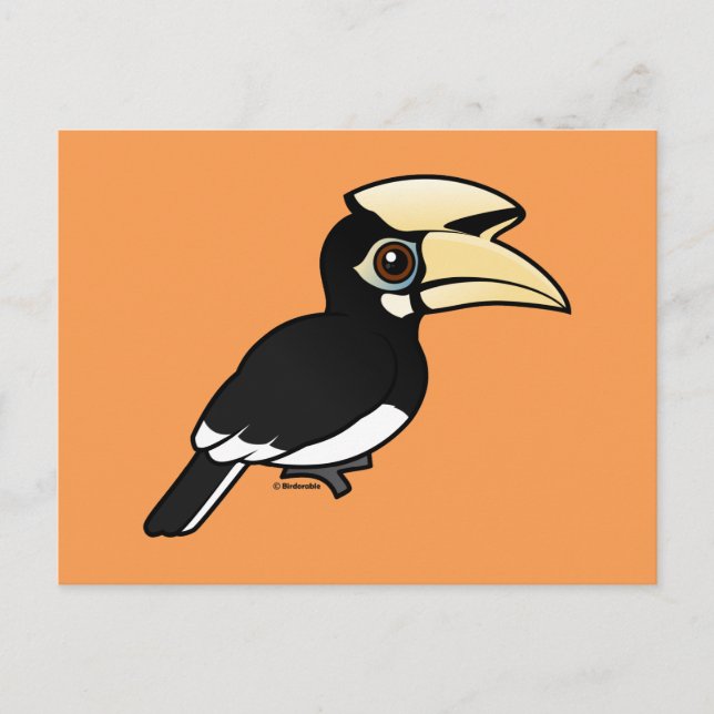 Oriental Pied Hornbill Postcard (Front)