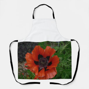 Oriental poppy apron
