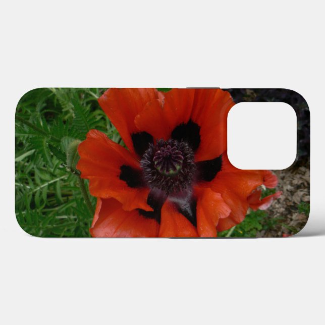Oriental poppy     Case-Mate iPhone case (Back (Horizontal))