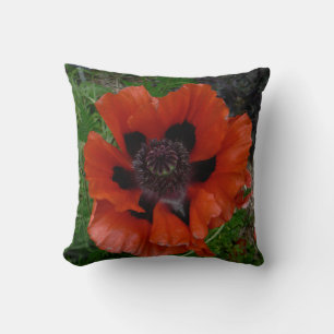 Oriental poppy   cushion