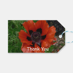 Oriental poppy gift tags