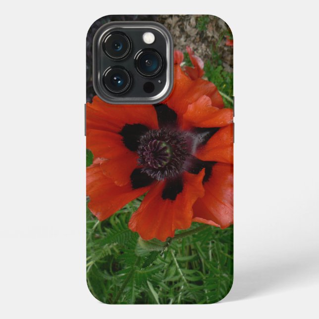 Oriental poppy     iPhone case (Back)