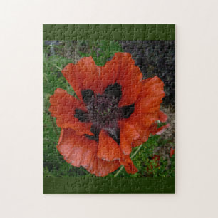 Oriental poppy jigsaw puzzle