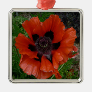 Oriental poppy   metal ornament