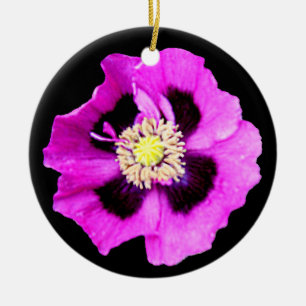Oriental poppy ornament black