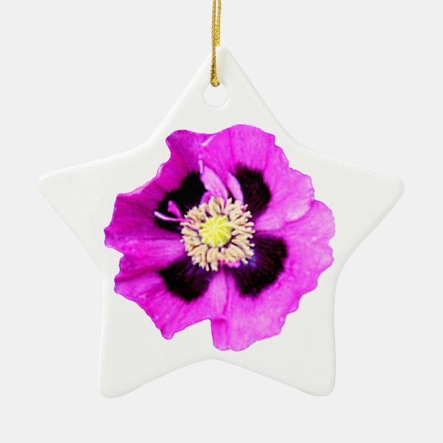 Oriental Poppy ornament star white (Front)