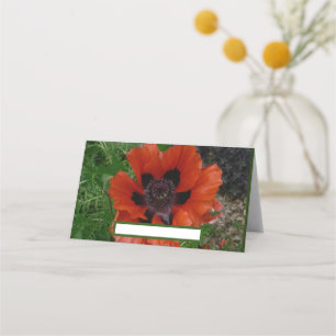 Oriental poppy place card
