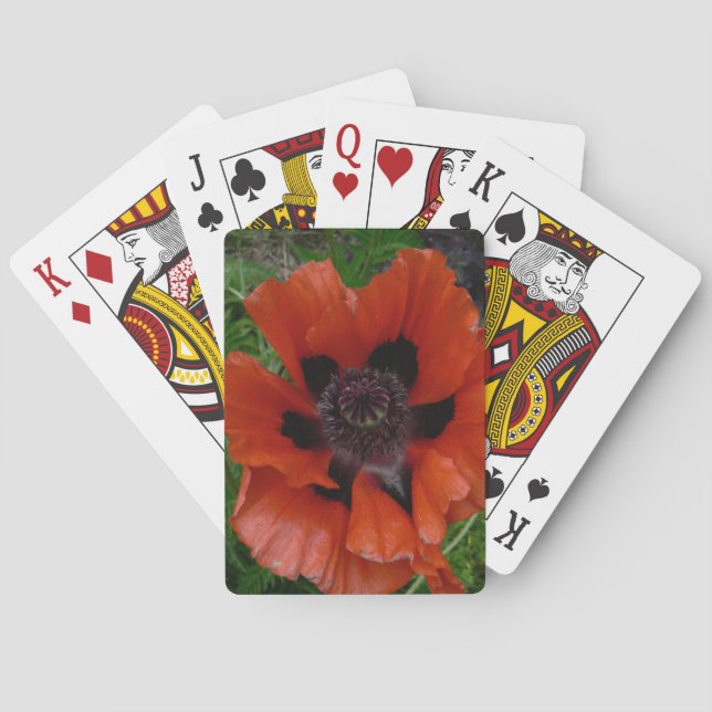 Oriental poppy    playing cards (Back)