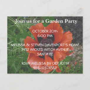 Oriental poppy   postcard