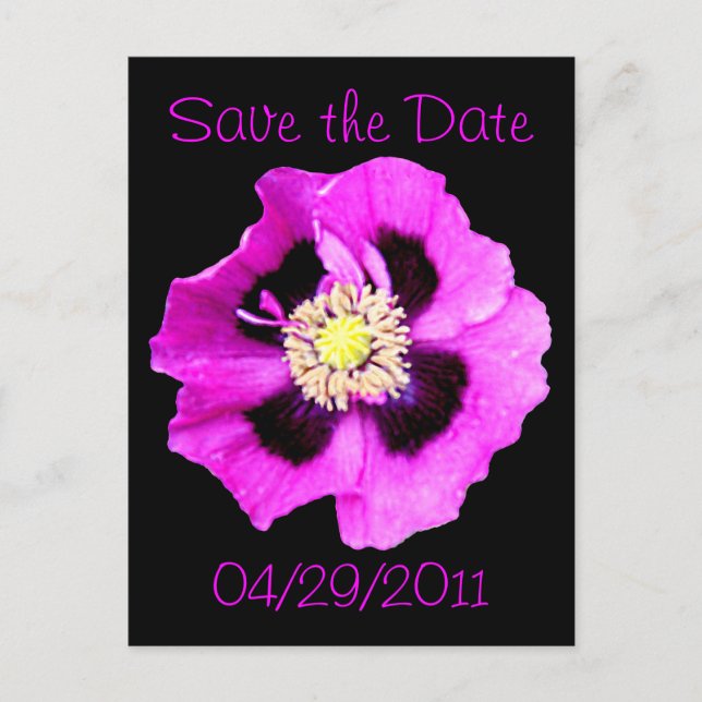 Oriental Poppy 'Save the Date' postcard black (Front)