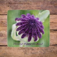 Oriental Poppy Seed Head Floral