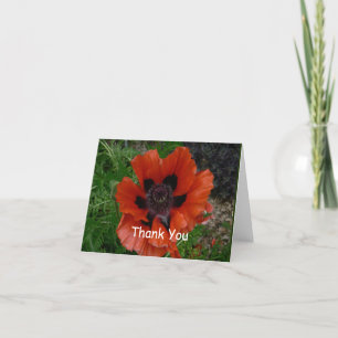Oriental poppy thank you card