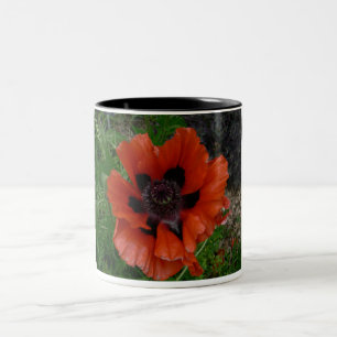 Oriental poppy    Two-Tone coffee mug