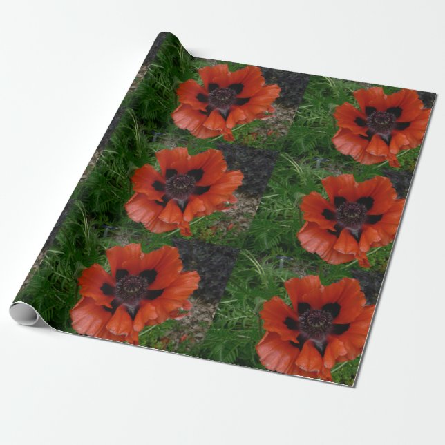 Oriental poppy        wrapping paper (Unrolled)