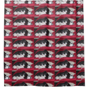Oriental_shorthair_babies Shower Curtain